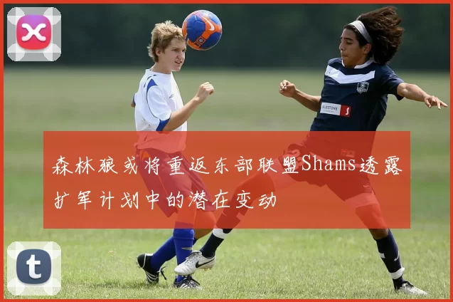 森林狼或将重返东部联盟Shams透露扩军计划中的潜在变动