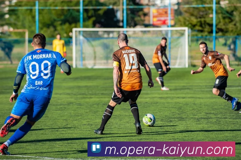 开云体育平台生态图