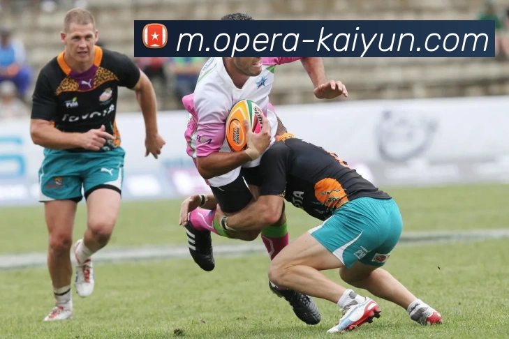 数据防护可视化